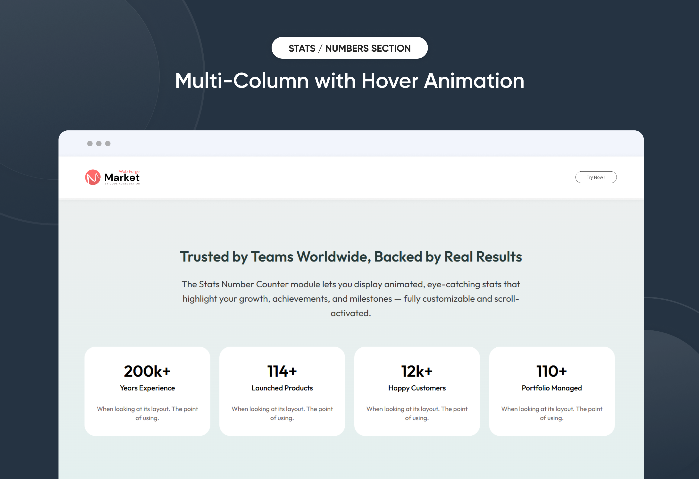 Multi-Column with Hover Animation